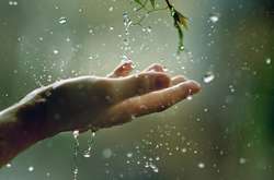 В Україні збережеться тепла і дощова погода 