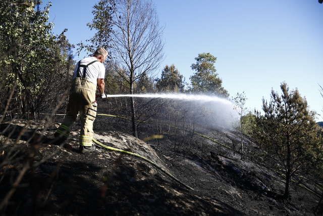 Швецію через аномальну спеку охопили масштабні лісові пожежі