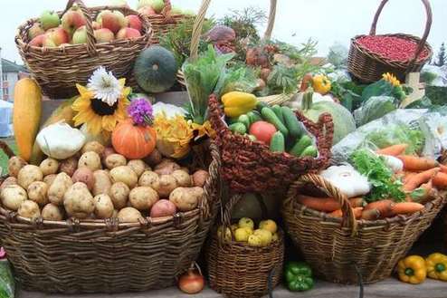Де сьогодні кияни можуть купити свіжі і недорогі овочі і фрукти (адреси)