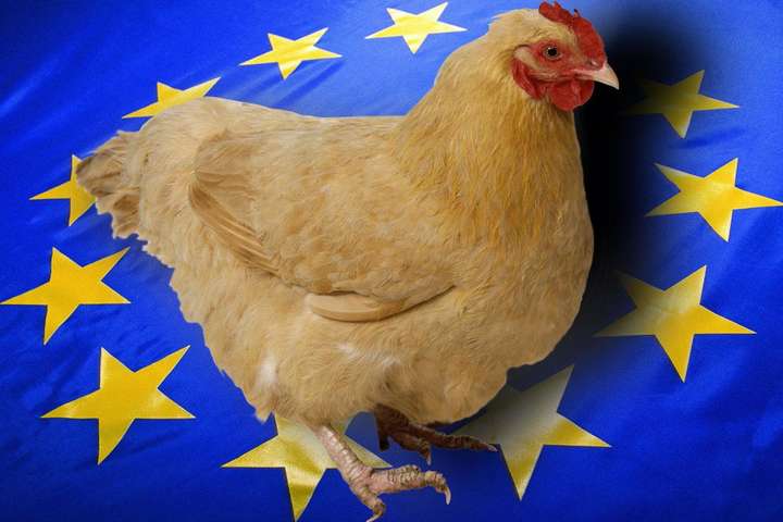 Украина оказалась в тройке мировых лидеров по экспорту мяса птицы в ЕС