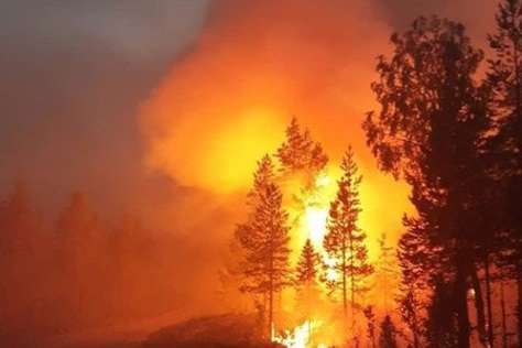 ЄС схвалив додаткову допомогу Швеції для боротьби з лісовими пожежами