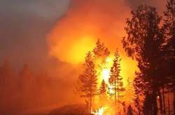 ЄС схвалив додаткову допомогу Швеції для боротьби з лісовими пожежами