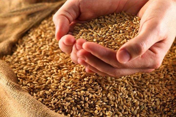 Мінагро перегляне державний стандарт на пшеницю