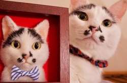 Девушка создает гиперреалистичные трехмерные войлочные портреты кошек