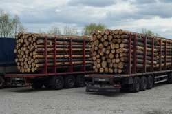 У Порошенка прокоментували вето на закон про контрабанду лісу