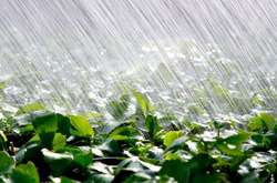 Погода, як у тропіках: синоптики дали прогноз на тиждень