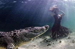 Храбрые модели приняли участие в фотосессии с огромными крокодилами