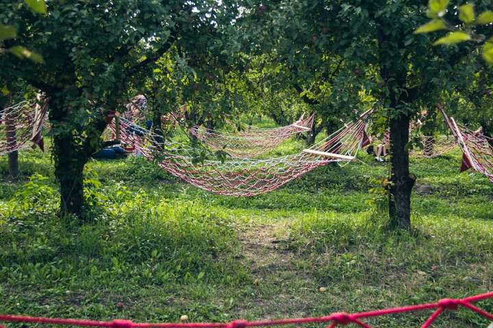 Посеред яблуневого саду на ВДНГ з’явився «Сад гамаків» (фото, відео)