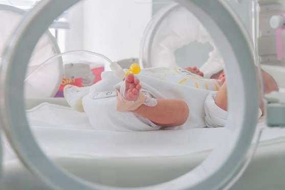 У Нідерландах померли 11 немовлят через експеримент з віагрою
