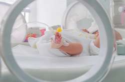 У Нідерландах померли 11 немовлят через експеримент з віагрою