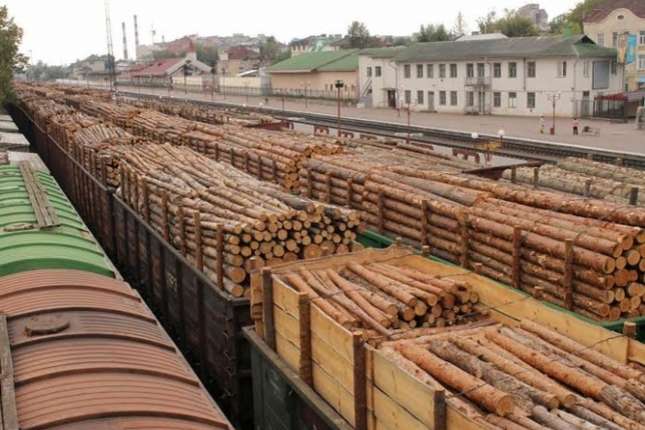 Австрия призвала Украину отменить запрет на экспорт леса