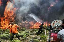 В Греции число погибших в результате лесных пожаров выросло до 79-ти