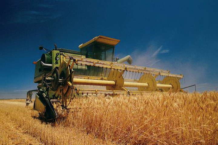 Жнива на Київщині: уже зібрано майже 470 тис. тонн зернових