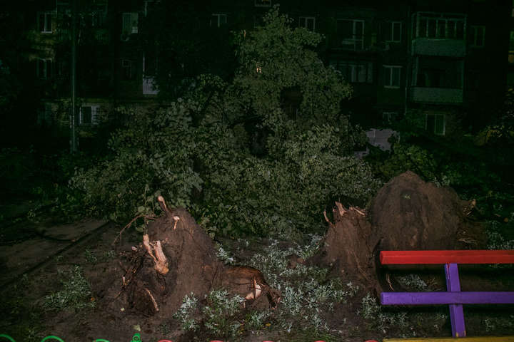 Дерева не витримують негоди: у Києві величезна тополя рухнула на будинок