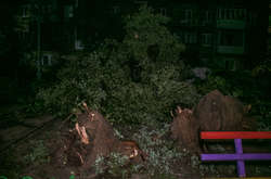 Дерева не витримують негоди: у Києві величезна тополя рухнула на будинок