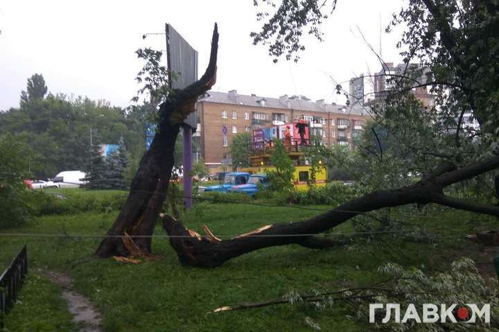 Ліквідація наслідків стихії у Києві: прибрано повалені дерева, відкачано понад 3 тис. кубів води