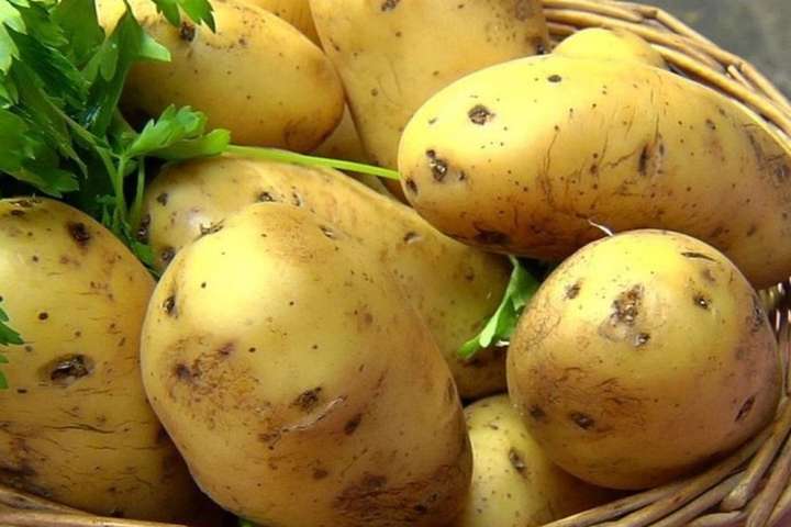 Молодой картофель защищает от рака