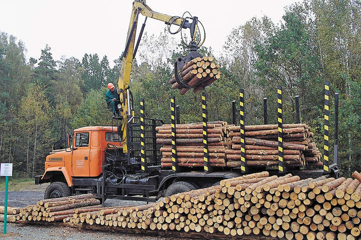 У Ляшка розкритикували Держлісагентство, яке «не бачить» контрабанди деревини