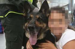 В Колумбії мафія розшукує собаку, який знайшов 10 тонн кокаїну