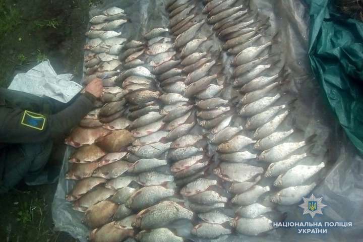 Поліція зловила під Києвом браконьєрів із рибою на 20 тис. грн