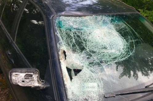 На Житомирщині водій BMW збив на смерть велосипедиста та втік