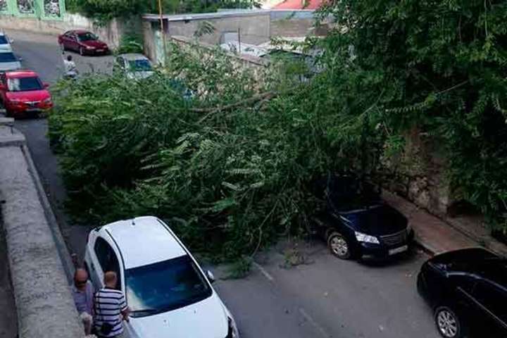 У Криму на автівки біля штабу флоту окупантів впало дерево