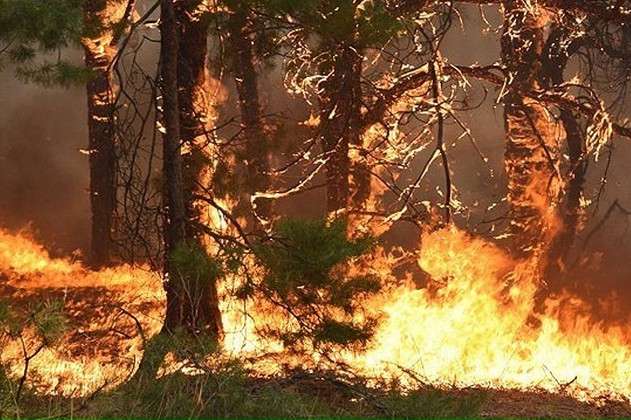 Канада у вогні: рятувальники не можуть приборкати десятки лісових пожеж