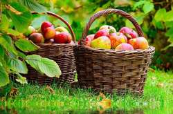 Синоптики розповіли, яким ймовірно буде серпень