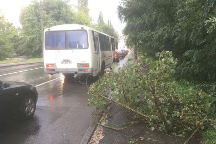 У Хмельницькому пронісся буревій зі зливою: повалені дерева, затоплені вулиці