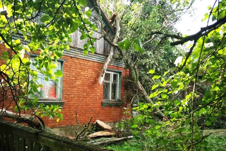 Негода пройшлася по шести областях України: масово повалені дерева, пошкоджені дахи будинків