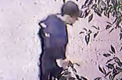 Зловмисник, який напав на Гандзюк