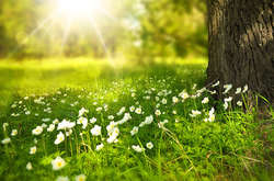 У четвер в Україні буде спекотно 