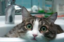 Через аварії частина киян залишилася без води (адреси)