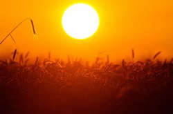 В Україні на вихідні прогнозують +33 градуси