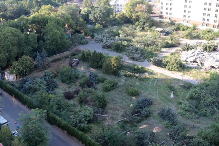 Невідомі вирубали більше 200 дерев в Одесі