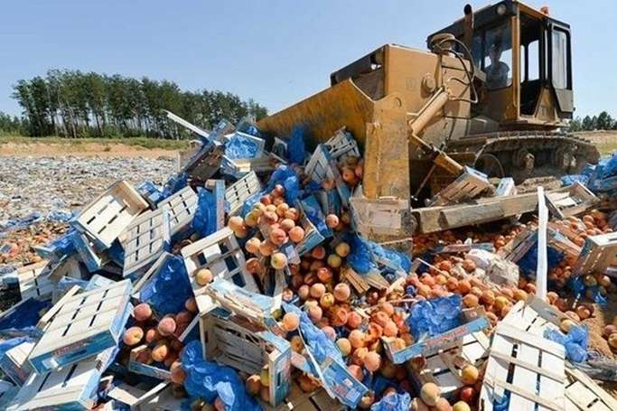 За три роки в Росії знищили 26 тисяч тонн санкційних продуктів