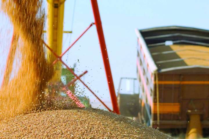 З початку липня Україна експортувала 3,4 млн тонн зерна