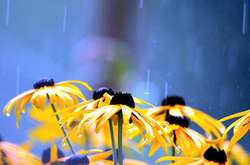 В Україні сьогодні місцями дощі з грозами, температура до +31