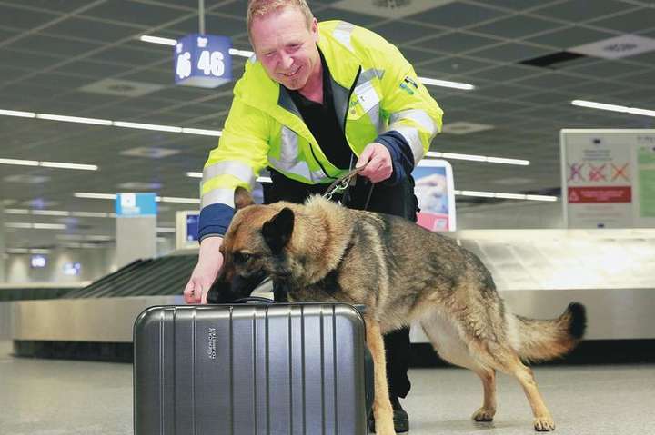 В самом крупном аэропорту Германии начали проверять багаж на наличие клопов