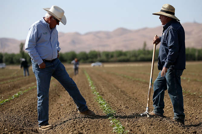 Американські фермери підтримують Трампа у міграційних питаннях 