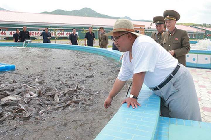 Будни Северной Кореи: Ким Чен Ын посмотрел на рыбу