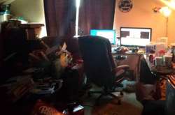 Це не притон для наркоманів. Як виглядає житло відомого геймера-стримера World of Warcraft