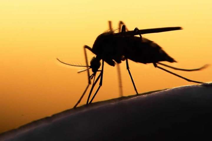 У Харкові в іноземця з Африки виявили малярію