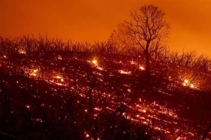 Найбільша в історії Каліфорнії лісова пожежа триватиме до кінця місяця