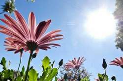 Погода на сьогодні: без опадів, температура до +32