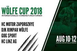 Гандбольний «Мотор» бере участь у міжнародному турнірі у Німеччині