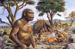 Людина прямоходяча (Homo erectus)