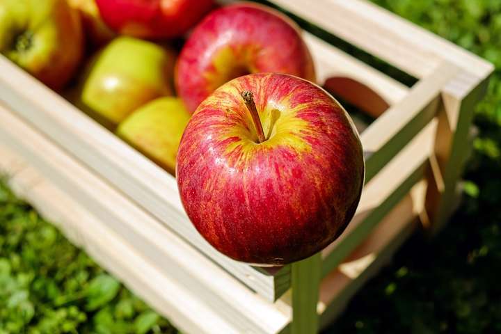 Україна за рік втричі збільшила експорт яблук