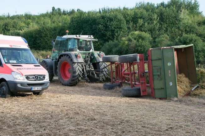 В Німеччині сталася масштабна ДТП в кукурудзяному лабіринті