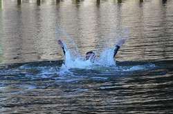 За один день в Україні потонули 15 людей